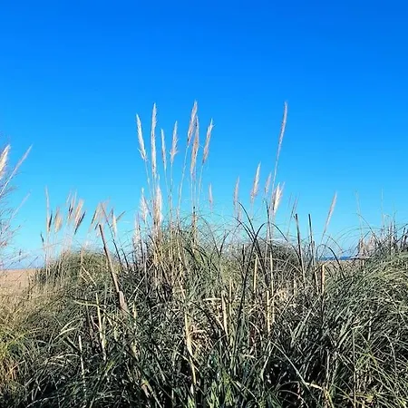 L'original, Superbe à 5min De La *