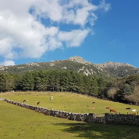 L'original, Superbe à 5min De La