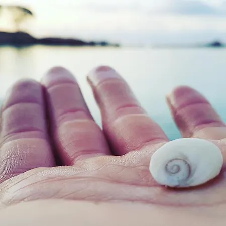 L'original, Superbe A 5min De La Apartamento *