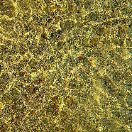 L'original, Superbe A 5min De La Zonza