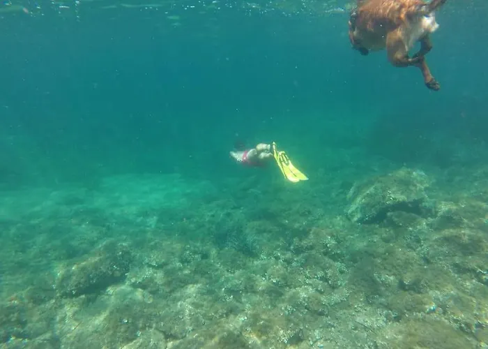 L'original, Superbe A 5min De La