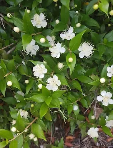 L'original, Superbe A 5min De La Apartment