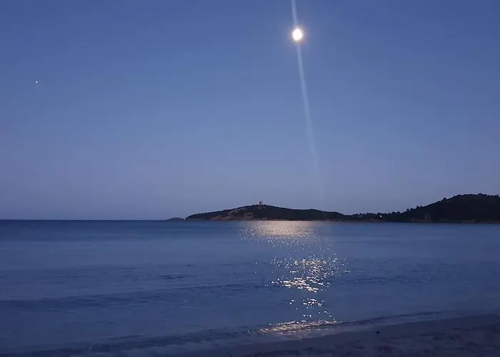 L'original, Superbe A 5min De La Apartment Zonza