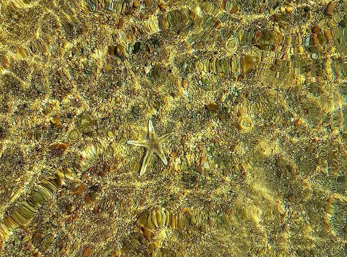 L'original, Superbe A 5min De La Zonza