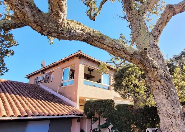 Apartment L'original, Superbe A 5min De La