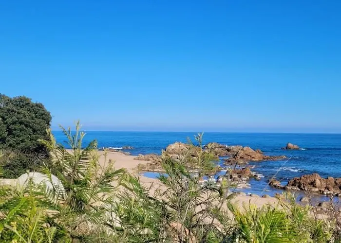 L'original, Superbe A 5min De La Zonza