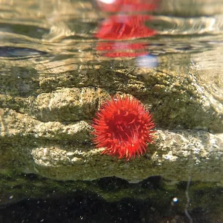 Lägenhet L'original, Superbe A 5min De La *