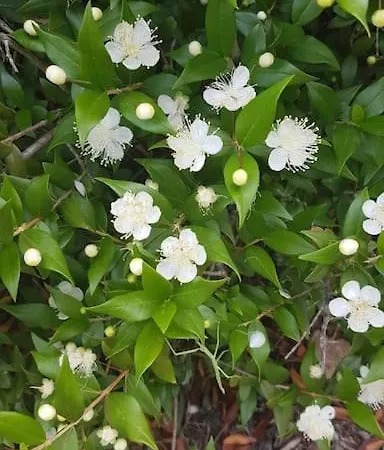 L'original, Superbe A 5min De La Lägenhet