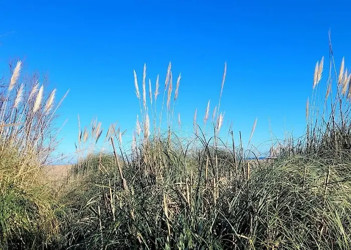 L'original, Superbe A 5min De La *