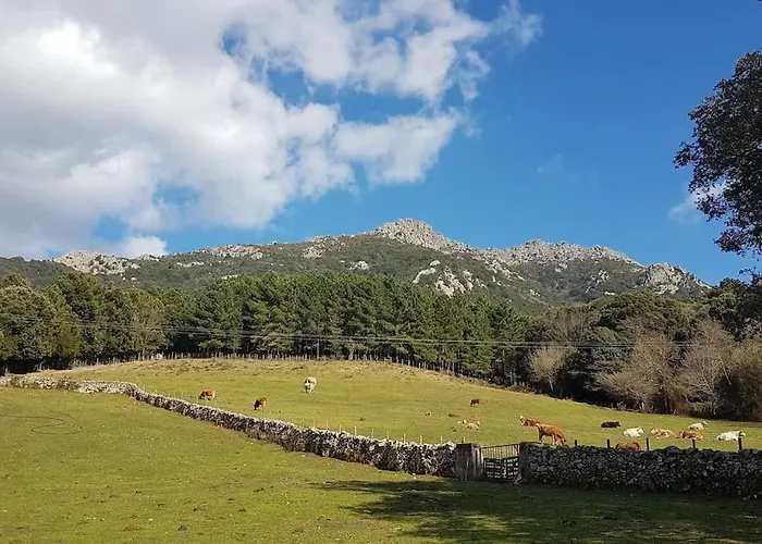 L'original, Superbe A 5min De La